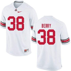 NCAA Ohio State Buckeyes Men's #38 Rashod Berry White Nike Football College Jersey XCR8845BU